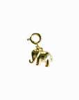 Elefant charm